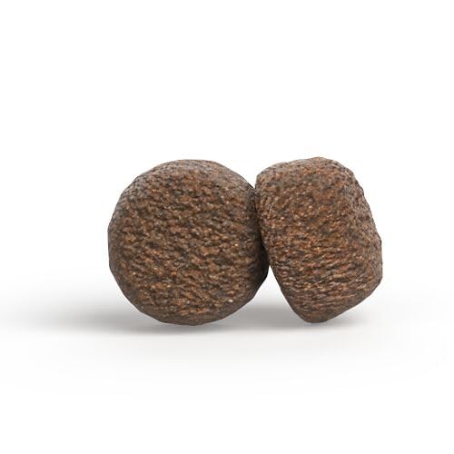 JOSERA Mini Senior Huhn & Reis (1 x 900 g) | Premium Trockenfutter für ausgewachsene ältere Hunde Kleiner Rassen | Anti-Aging & Nierenentlastung | Extrakleine Kroketten | glutenfrei | 1er Pack