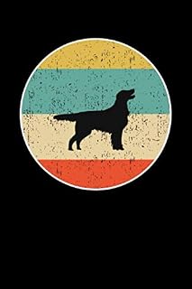 Dingo A Notebooks