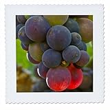 Square dimensions (in inches): 16 L x 16 W, image dimensions (in inches): 14 L x 14 W 100% poloyester; image is soft to touch. Made in USA Edges have pinking shear cut Image will not fade with washing. Image not a transfer, part of material