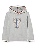 Organic Cotton Sanetta Jungen Sweatshirt Grey Mel. Kapuzenpullover, grau, 122