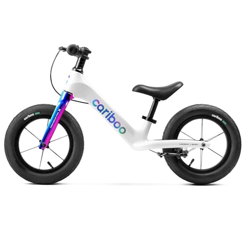 Draisienne enfants 2 ans cariboo évite les chutes vélo léger réglable