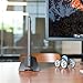 Twelve South BookArc for MacBook | Space-Saving Vertical Desktop Stand for Apple notebooks (Space Grey)*Not Compatible with M1, See Insert Option to Update/Upgrade*