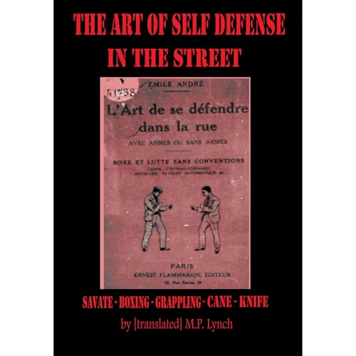 THE ART OF SELF DEFENSE IN THE STREET by [Translated] M.P. LYNCH episode artwork