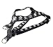 Sassy Dog Wear 3/4" x 18"-24" Reflective Skull Dog Harness, Medium, Black