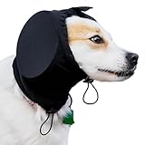Safe Dogs Ears
