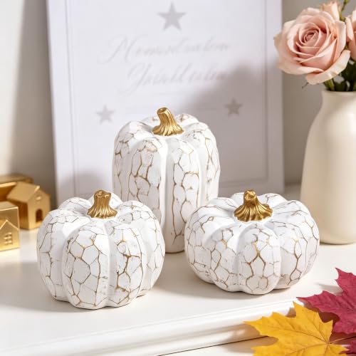 Image of winemana Set of 3 White Pumpkins Fall Decorations for Home | Resin, Textured Neutral Pumpkin, Thanksgiving Centerpiece For Table, Mantel, Porch & Indoor, Farmhouse Autumn Harvest Decor