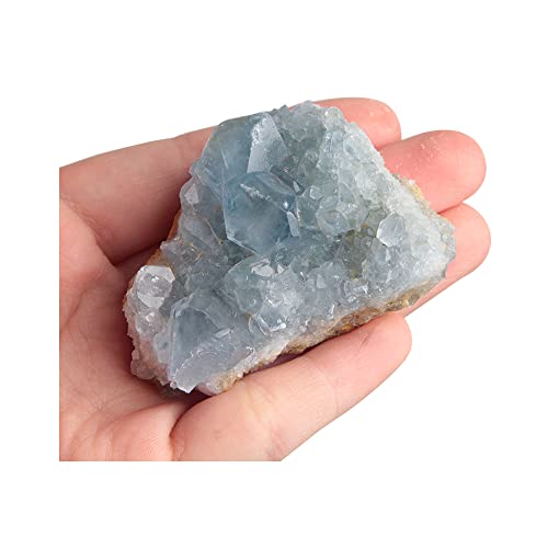 Image of Acxico 1Pcs Celestite Cluster Large 2.5 inch - 3.5 inch Blue Celestite Gemstone Mineral Specimens
