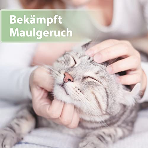 Felisept Zahnpflege Finger-Pads für Katzen 50 Stück - Fingerlinge für effektive Katzen Zahnpflege, Mundhygiene & frischen Atem, Reduziert Plaque, Zahnreiniger Katze