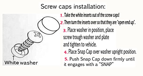 Lfparts Hibiscus 3D Flower Emblem Stainless Steel License Plate Frame (Chrome Frame, Black Flower) #TOP2