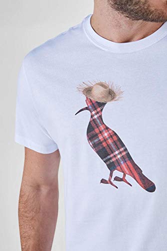 Camiseta Pica-pau Chápeu Junino