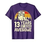 13th Birthday Shirt Boys 13yr 13 Year Old Dinosaur T-Rex T-Shirt