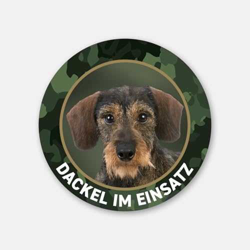 Dackelaufkleber Dackel im Einsatz Rauhaardackel, Teckel, Dachshund Premiumaufkleber rund