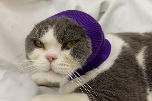 Image of Cat Head Cover Ear Wrap Pinpoint Mesh Neck Cowl Cat Grooming Headband Snood for cat Purple+Blue S