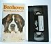 Produktbild Ein Hund namens Beethoven [VHS]