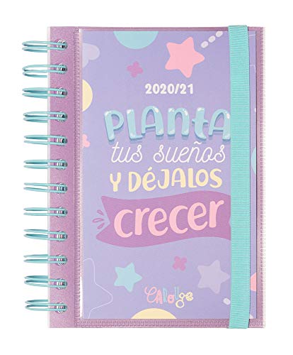 Grupo Erik - Agenda escolar 2020/2021 d�a p�gina S Carouge, 11 meses (11,4x16 cm) (ADPS2009)