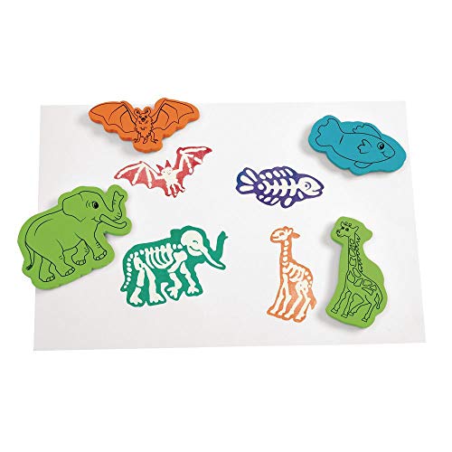 Tampons animaux squelette anibones Colorations pour enfant et école