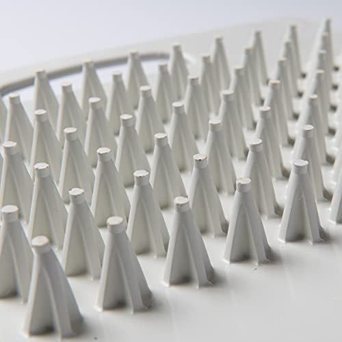 Champro Cleat Cleaner (White) #TOP5