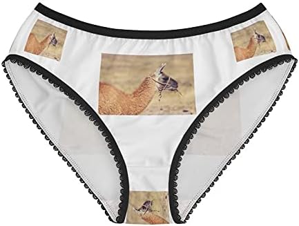 SpreadPassion Llama Panties, Llama Underwear, Briefs, Cotton Briefs, Funny Underwear, Panties For Women