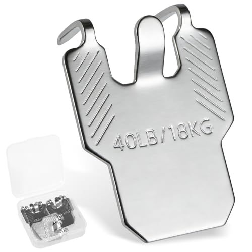 LFBEST 10pcs Claw Picture Hanging- Stainless Steel Picture Hooks for Plasterboard Walls and Drywall- Heavy Duty No Nail Damage Wall Hanging Hooks for Frames Mirrors Art Posters