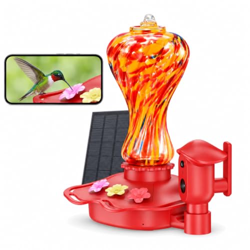 Hummingbird Feeder with Camera, 2K Live View...