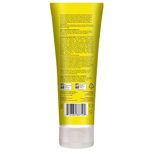 Desert Essence Lemon Tea Tree Shampoo & Conditioner Bundle - 8 Fl Ounce - Clarifying For Oily Hair - Essential Oils - Strengthen & Protect Hair - Effective Cleansing #TOP4