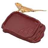 Utilisation Polyvalente pour Tous les Éleveurs: Idéal comme source principale d'eau ou comme bol supplémentaire, cet accessoire convient parfaitement à l'élevage responsable des caméléons, dragons barbus, iguanes, serpents et autres espèces populaires de NAC reptiliens.