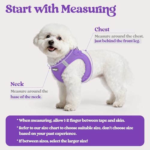 rabbitgoo Dog Harness Small Dog and Leash Set, Step-in Soft Mesh Puppy Harness with Reflective Strips, Lightweight Breathable Pet Vest for Walking Training, Purple, XS