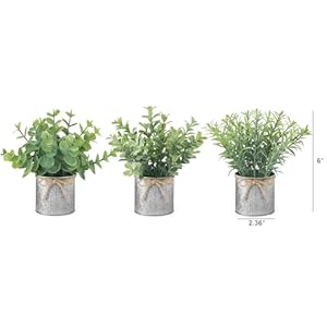 Mkono mini fake plants in farmhouse galvanized metal pots 3 pack small potted artificial plant eucalyptus for laundry room bathroom shelf table decor  urban country home decor