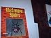 Black Widow Spiders (Dangerous Creatures)