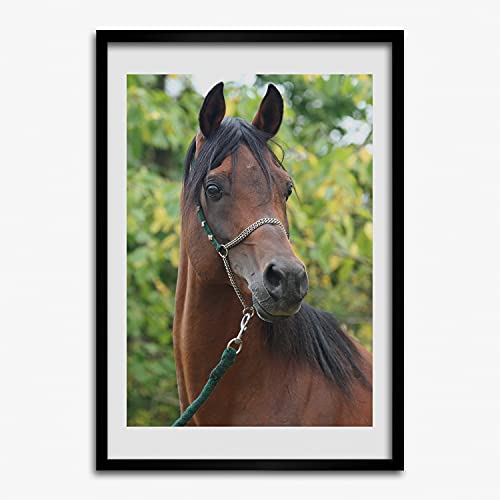 Cadre photo 50x70 cm Tulup pour remplacer vos murs vides et tristes