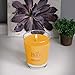 Root Candles Scented Candles Honeycomb Beeswax Blend Premium Handcrafted Candle, Large Veriglass, Tangerine Lemongrass