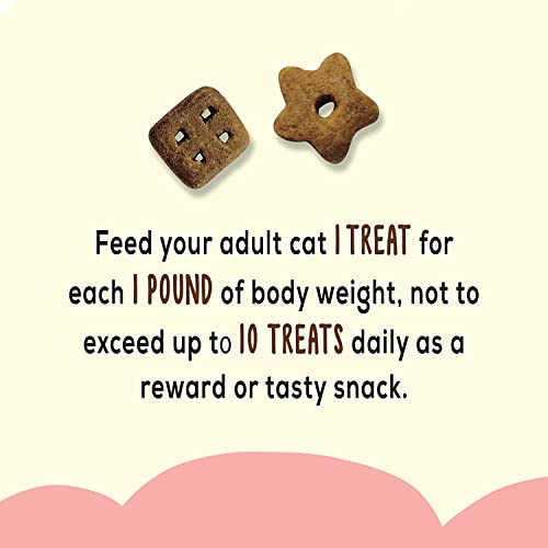 Aurora Pet Variety Pack (5) Friskies Party Mix Natural Yums Cat Treats (Salmon, Tuna, Chicken, Shrimp, Catnip) 2.1-Oz Each With Aurorapet Wipes #TOP3