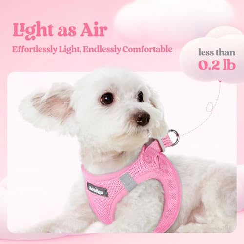 Image of rabbitgoo Dog Harness Medium Sized and Leash Set, Step-in Puppy Pet Vest