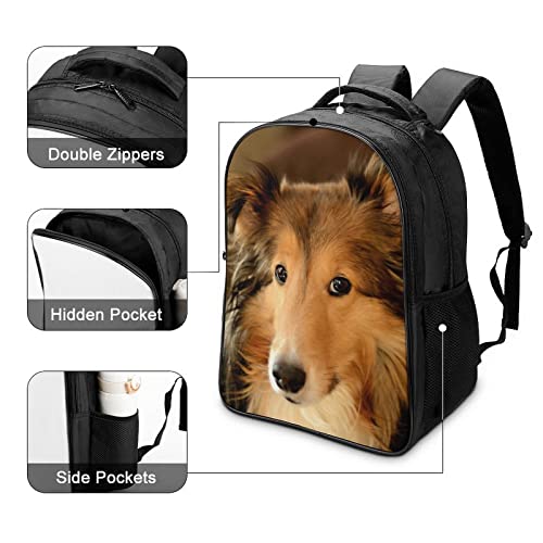 Cartable Collie Collie Cool : fini le mal de dos à l'école - 4