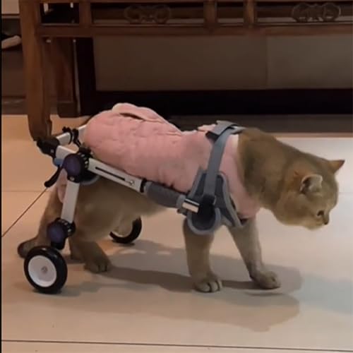 Fauteuil roulant pour chien et chat pliable support de mobilité - 2