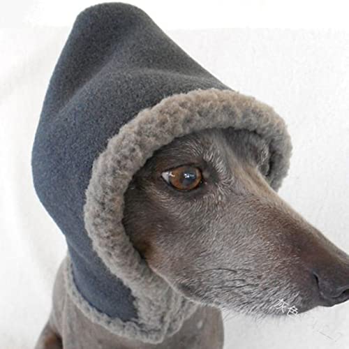 Chapeau pour chien en peluche mignon idéal pour les balades en plein air