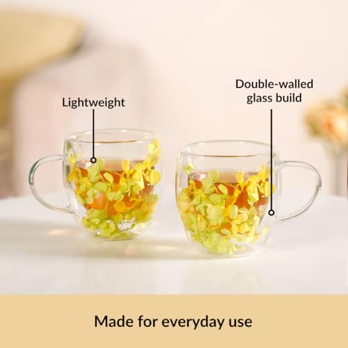 Image of Nestasia Double Wall Glass Mug with Dried Flowers Set of 2 (250ml Each) - Transparent Borosilicate Floral Glass Tea Cups | Lightweight & Durable Coffee Mugs - Perfect for Gifting (Yellow)