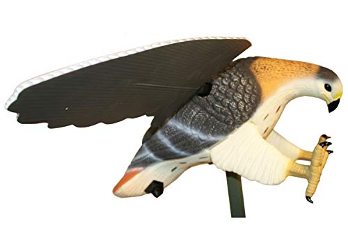 Mojo Decoys HW4310 Mojo Hawk