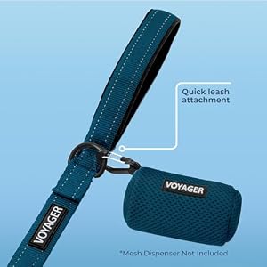 Voyager Reflective Dog Leash with Neoprene Handle, 5ft Long, Supports Small, Medium, and Large Breed Puppies, Cute and Heavy Duty for Walking, Running, and Training - Blue (Leash), M Voyager Reflective Dog Leash with Neoprene Handle, 5ft Long, Supports Small, Medium, and Large Breed Puppies, Cute and Heavy Duty for Walking, Running, and Training – Blue (Leash), M