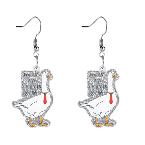 Funny Acrylic Dangle Earrings for Women, Quirky Novelty Drop Earrings with Cute Quote & Cartoon Designs, Hypoallergenic Hooks, Lightweight Statement Earrings, 1 Pair Gift