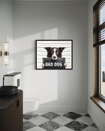 Image of aj decor Border Collie Mugshot Wall Art Print Poster, Dog Pet Lover Picture Painting Artwork Bedroom Living Room Office Dining Room 150D (Border Collie Mugshot, 16 x 20 inches, Black Frame)
