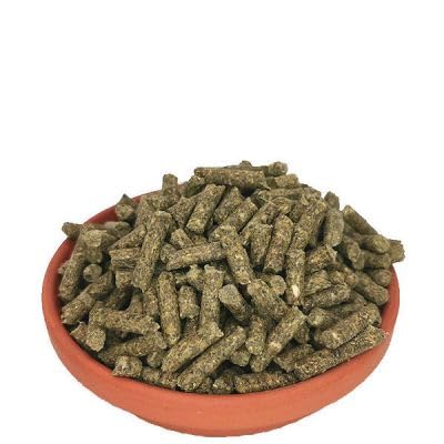 Aqua-Tropica - Schnecken-VITAL Power - 4 in 1 Schneckenfutter Sticks I Fitnesskur für Land- & Wasserschnecken I Gezielte Nährstoffversorgung I 40g