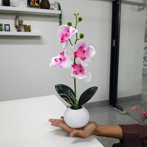 Image of CURATED CART Flower Pot with Artificial Flowers - Orchid Pink & White Flower with White Vase | Ideal for Home Decor | Office Decor | Gifting | Size 36 x 9cm