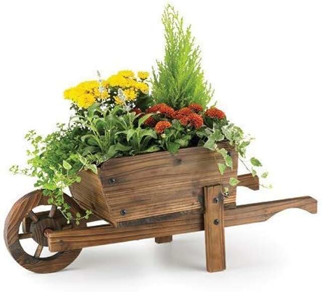 Amazon.co.uk novelty planters