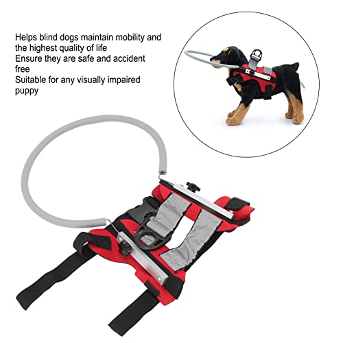 Mascotas, Imagen adicional