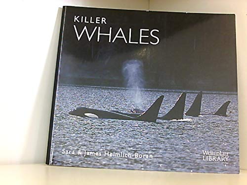 Killer Whales Heimlich Sara 9780896582378 Amazon Books