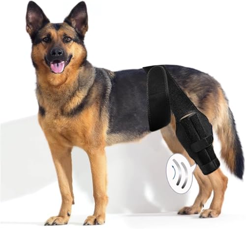 ZIGTAIL Dog Knee Brace, Canine ACL Support Wrap, Black (M)