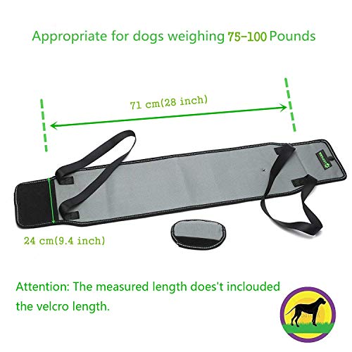 Lepark Dog Sling with Handle for Canine Aid, Veterinarian Approved Dog Lift Harness for Rehabilitation (XL,Grey)