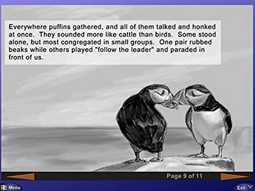 Superstart Puffin Pursuit #TOP2