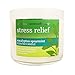 Bath and Body Works 3-wick Limited Edition Candle AROMATHERAPY COLLECTION (Stress Relief - Eucalyptus Spearmint)